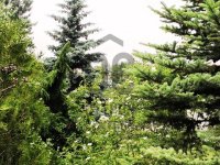 Eladó telek, Pátyon 20 M Ft / költözzbe.hu