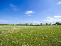 Eladó ipari ingatlan, Inárcson 120 M Ft / költözzbe.hu