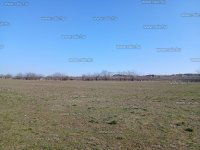 Eladó telek, Dunakeszin 90 M Ft / költözzbe.hu