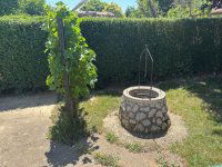 Eladó családi ház, Palkonyán 137 M Ft, 6 szobás