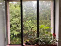 Eladó téglalakás, II. kerületben 96 M Ft, 2+1 szobás