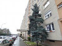 Eladó panellakás, XV. kerületben 72.5 M Ft, 3 szobás