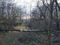 Eladó telek, Albertirsán 6.5 M Ft / költözzbe.hu