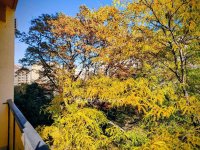 Eladó téglalakás, XI. kerületben 95 M Ft, 2 szobás