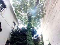 Eladó téglalakás, Pécsett 97.2 M Ft, 3 szobás