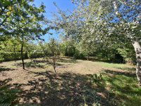 Eladó családi ház, Albertirsán 39 M Ft, 2 szobás