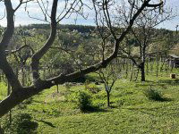 Eladó telek, Csatáron 8.9 M Ft / költözzbe.hu