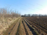 Eladó mezogazdasagi ingatlan, Balatonendréden 11.99 M Ft