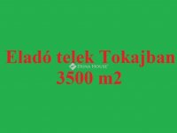 Eladó telek, Tokajban 2.1 M Ft / költözzbe.hu
