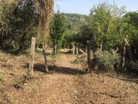 Eladó mezogazdasagi ingatlan, Miskolcon 1.65 M Ft