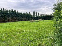 Eladó családi ház, Érden 179 M Ft, 6 szobás