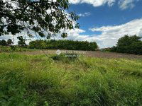 Eladó családi ház, Cecén 23.99 M Ft, 4 szobás