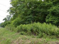 Eladó mezogazdasagi ingatlan, Hévízen 12.6 M Ft