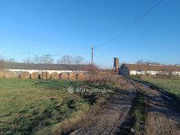 Eladó mezogazdasagi ingatlan, Csőszön 298 M Ft