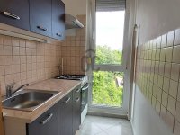 Kiadó panellakás, albérlet, Pécsett, Enyezd úton 130 E Ft / hó