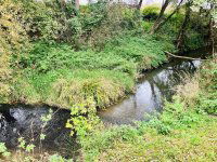 Eladó telek, Zalalövőn 5.9 M Ft / költözzbe.hu