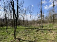 Eladó telek, Zalacsányon 5.5 M Ft / költözzbe.hu