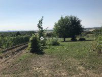 Eladó telek, Zámolyon 12 M Ft / költözzbe.hu