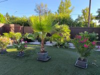 Eladó családi ház, XV. kerületben 199.99 M Ft, 4 szobás