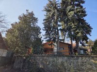 Eladó családi ház, Leányfaluban 159.9 M Ft, 3 szobás