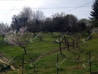 Eladó telek, Zalaegerszegen 23.5 M Ft / költözzbe.hu