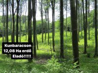 Eladó mezogazdasagi ingatlan, Kunbaracson 20.99 M Ft