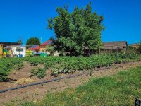 Eladó családi ház, Hajdúnánáson 52 M Ft, 2 szobás