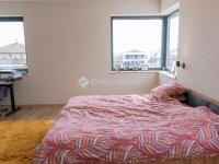Eladó családi ház, Diósdon 330 M Ft, 5 szobás
