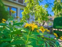 Eladó családi ház, Gárdonyban 89.5 M Ft, 4 szobás