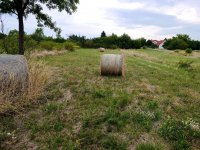 Eladó telek, Márkón 29 M Ft / költözzbe.hu