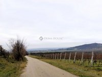 Eladó mezogazdasagi ingatlan, Nadapon 15 M Ft