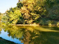 Eladó nyaraló, Püspökmolnárin 9.9 M Ft, 2 szobás