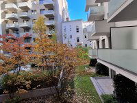 Kiadó téglalakás, albérlet