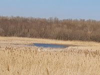 Eladó mezogazdasagi ingatlan, Úrin 60 M Ft / költözzbe.hu