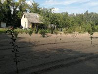 Eladó mezogazdasagi ingatlan