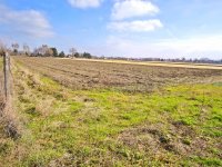 Eladó mezogazdasagi ingatlan, Szatymazon 4.5 M Ft