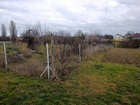 Eladó telek, Szentkirályszabadján 14 M Ft / költözzbe.hu