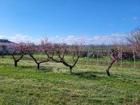 Eladó telek, Siófokon 127 M Ft / költözzbe.hu