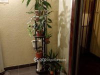 Eladó panellakás, XV. kerületben 52.5 M Ft, 1+1 szobás