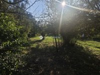 Eladó telek, Vácrátóton 20 M Ft / költözzbe.hu