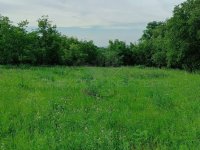 Eladó telek, Écsen 25.5 M Ft / költözzbe.hu