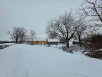 Eladó mezogazdasagi ingatlan