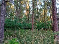 Eladó mezogazdasagi ingatlan