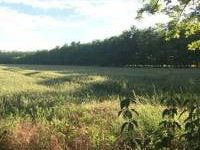 Eladó mezogazdasagi ingatlan, Péterin 25.9 M Ft