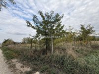 Eladó telek, Nyergesújfaluban 4 M Ft / költözzbe.hu