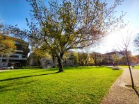 Kiadó téglalakás, albérlet, IX. kerületben, Telepy utcában