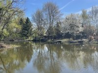Eladó mezogazdasagi ingatlan, Győrött 29 M Ft, 2 szobás