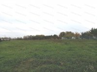 Eladó telek, Balatonszabadiban 12.5 M Ft / költözzbe.hu