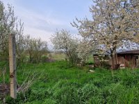 Eladó családi ház, Csépen 14.9 M Ft, 1 szobás