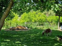 Eladó mezogazdasagi ingatlan